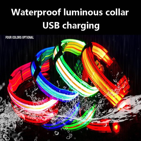 dog collars & leashes collar led light adjustable nylon waterproof luminous safety flashing glowing for pet products accessories
dog collars & leashes collar led light adjustable nylon waterproof luminous safety flashing glowing for pet products accessories