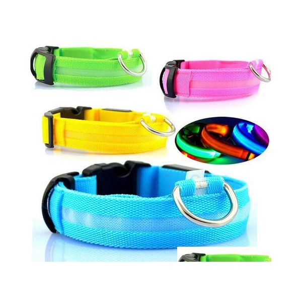cw001 nylon pet dog collar led light night safety light-up flashing glow in the dark cat collar led dog collars for small dogs bskpu
cw001 nylon pet dog collar led light night safety light-up flashing glow in the dark cat collar led dog collars for small dogs bskpu