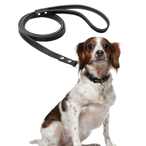 5 colors leather dog leash long rope pet puppy cat walking training leashes for small medium large dogs chihuahua 12 sqcuzz
5 colors leather dog leash long rope pet puppy cat walking training leashes for small medium large dogs chihuahua 12 sqcuzz