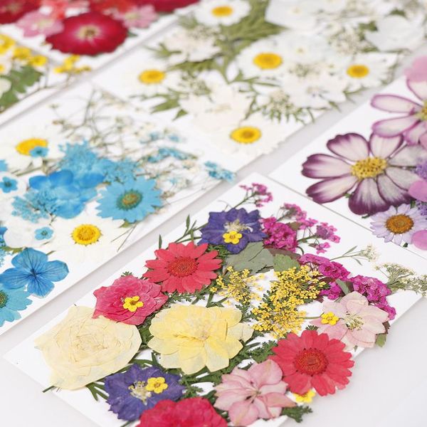 1 bag of dried flowers uv resin decorative natural flower stickers 3d dry beauty decal epoxy mold diy filling jllson
1 bag of dried flowers uv resin decorative natural flower stickers 3d dry beauty decal epoxy mold diy filling jllson