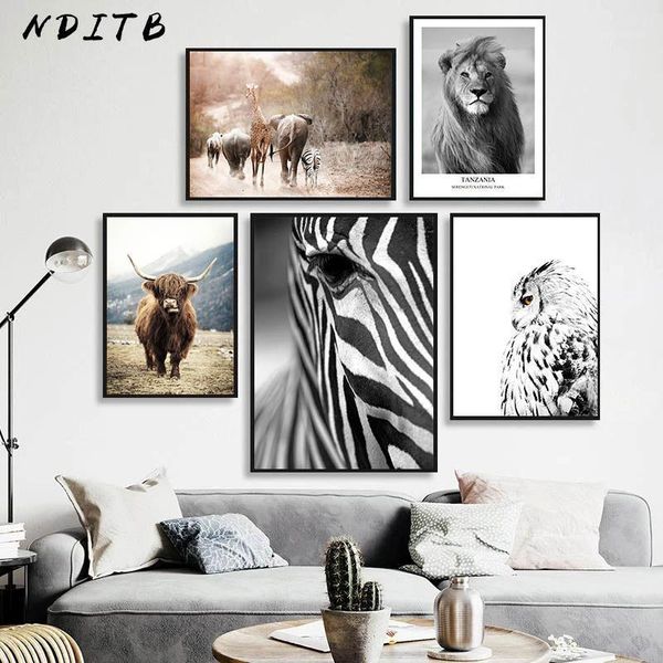 scandinavian decoration picture wall art poster african animal lion zebra cow canvas print painting nordic living room decor1
scandinavian decoration picture wall art poster african animal lion zebra cow canvas print painting nordic living room decor1