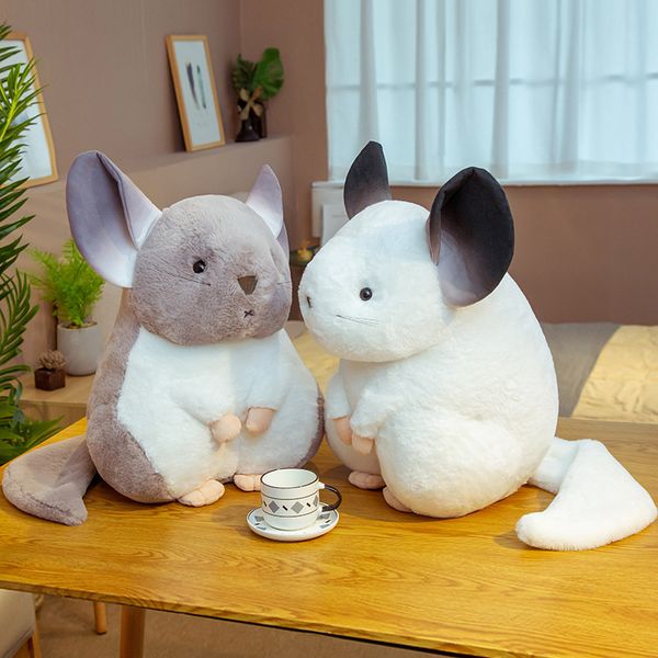2020 back cushion cute cartoon fat hamster cartoon mouse plush toy throw pillow claw machine doll birthday gift
2020 back cushion cute cartoon fat hamster cartoon mouse plush toy throw pillow claw machine doll birthday gift