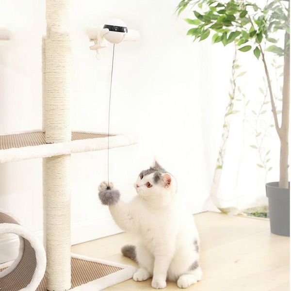 electric automatic lifting cat ball toy interactive puzzle smart pet cat ball teaser toys pet supply lifting balls electric mj811
electric automatic lifting cat ball toy interactive puzzle smart pet cat ball teaser toys pet supply lifting balls electric mj811
