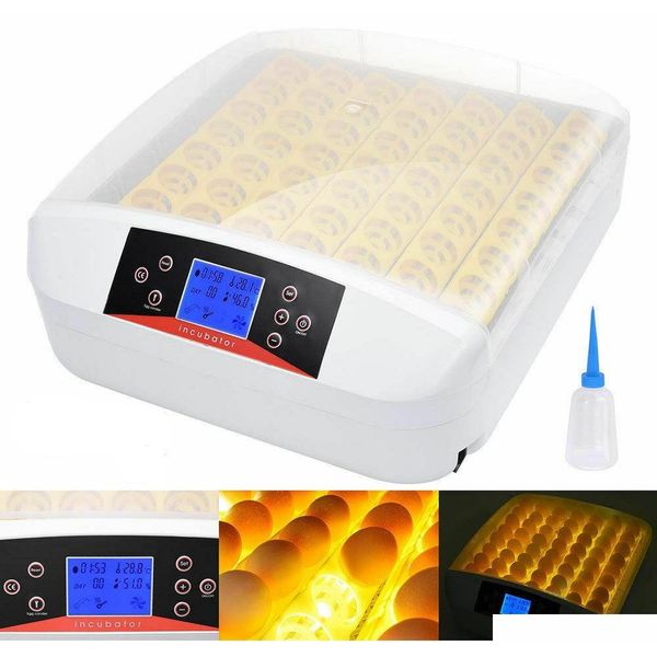 56 chicken duck eggs incubator fully automatic led light digital turning w/candler light 110v/220v ywhnk
56 chicken duck eggs incubator fully automatic led light digital turning w/candler light 110v/220v ywhnk