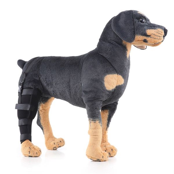 protective clothing pets posrative surgery recovery hind leg foot protection tool dog walk auxiliary appliance selling 17mq3 p1
protective clothing pets posrative surgery recovery hind leg foot protection tool dog walk auxiliary appliance selling 17mq3 p1