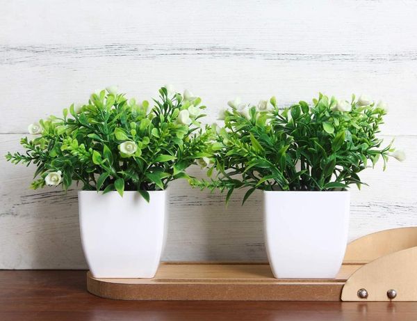 decorative flowers & wreaths mini simulation green plant potted home decoration office desk house plants bonsai1
decorative flowers & wreaths mini simulation green plant potted home decoration office desk house plants bonsai1