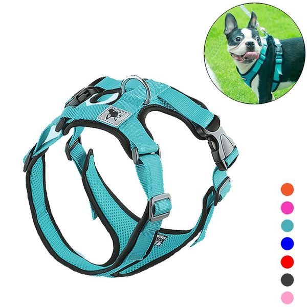 dog collars & leashes summer reflective puppy medium harness for small dogs mesh padded chihuahua yorkies harnesses mascotas accessories sup
dog collars & leashes summer reflective puppy medium harness for small dogs mesh padded chihuahua yorkies harnesses mascotas accessories sup