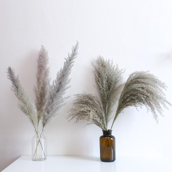 decorative flowers & wreaths 10pcs natural dried flower pampas grass reed home decoration gray large wedding layout corner shop display wind
decorative flowers & wreaths 10pcs natural dried flower pampas grass reed home decoration gray large wedding layout corner shop display wind