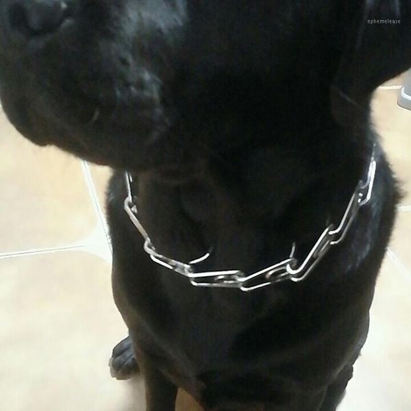 pet training products adjustable chrome plated dog prong collar pinch collar with quick release snap buckle 45cm/50cm/55cm/60cm1
pet training products adjustable chrome plated dog prong collar pinch collar with quick release snap buckle 45cm/50cm/55cm/60cm1