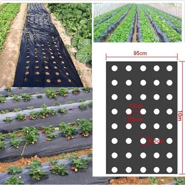 other garden supplies vegetable membrane agricultural plants mulching seeding perforated film sticker motorcycle scooter decals1
other garden supplies vegetable membrane agricultural plants mulching seeding perforated film sticker motorcycle scooter decals1