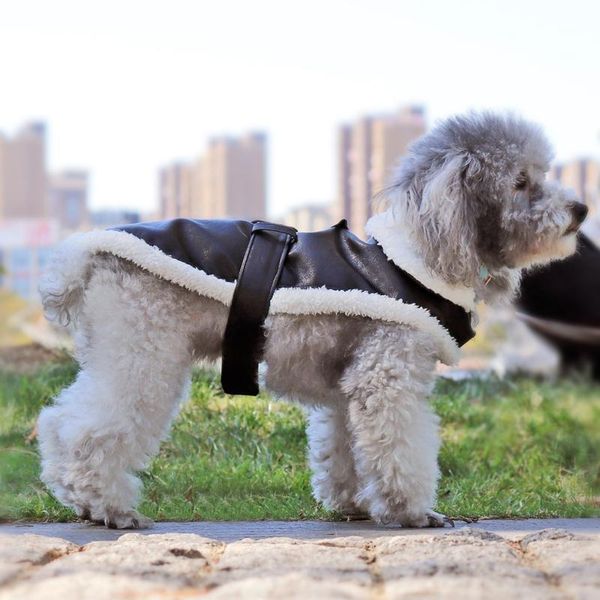 pet dog clothes winter warm dogs jacket waterproof puppy leather coat pets clothing for chihuahua french bulldog ropa pa sqcwwu
pet dog clothes winter warm dogs jacket waterproof puppy leather coat pets clothing for chihuahua french bulldog ropa pa sqcwwu