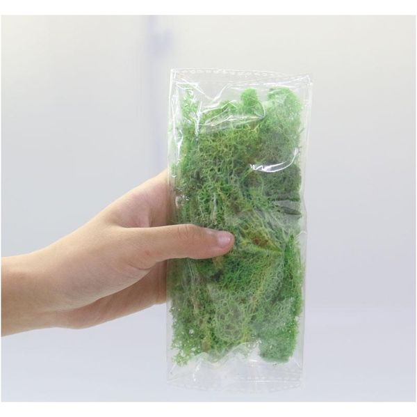 20g/set artificial plant eternal life moss / garden home decoration wall diy flower material mini garden micro land sqcdir ppshop01
20g/set artificial plant eternal life moss / garden home decoration wall diy flower material mini garden micro land sqcdir ppshop01