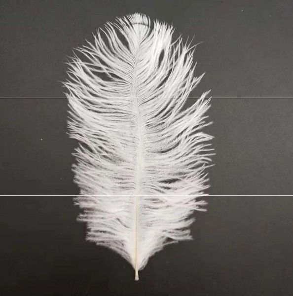 id3xb baking angel feather flag flag cake valentine's day decorated wings cake children national old man a9nae
id3xb baking angel feather flag flag cake valentine's day decorated wings cake children national old man a9nae