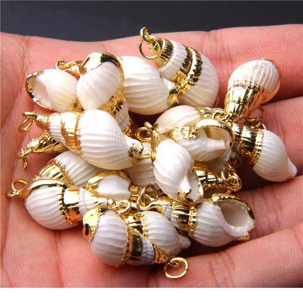 gold plated natural spiral seashells for diy handmade shells pendant jewelry handmade home decoration for jewelry mak qylywe, Black
gold plated natural spiral seashells for diy handmade shells pendant jewelry handmade home decoration for jewelry mak qylywe, Black