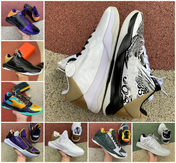 designer zk5 kb5 5s bruce lee protro basketball shoes 5x champ lakers purple gold 2k20 chaos mamba zoom zk 5 v mens sneake
designer zk5 kb5 5s bruce lee protro basketball shoes 5x champ lakers purple gold 2k20 chaos mamba zoom zk 5 v mens sneake
