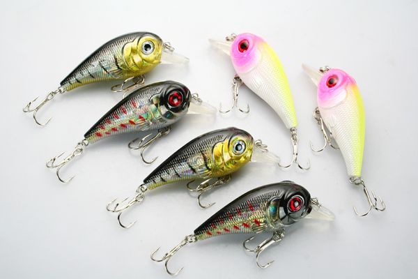 wholesale lot 12 fishing lure cranks crankbaits hand baits hooks bass 11.3g/7cm 2 color ng
wholesale lot 12 fishing lure cranks crankbaits hand baits hooks bass 11.3g/7cm 2 color ng