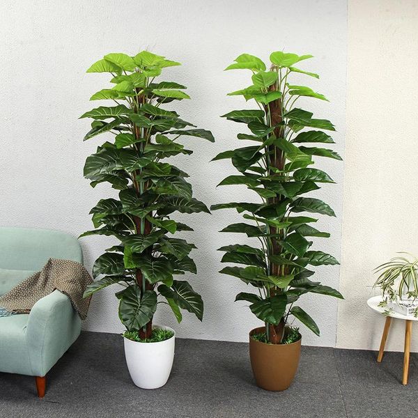 decorative flowers & wreaths artificial plants 150cm dripping guanyin greenery el home decoration bonsai plastic fake trees faux plants1
decorative flowers & wreaths artificial plants 150cm dripping guanyin greenery el home decoration bonsai plastic fake trees faux plants1