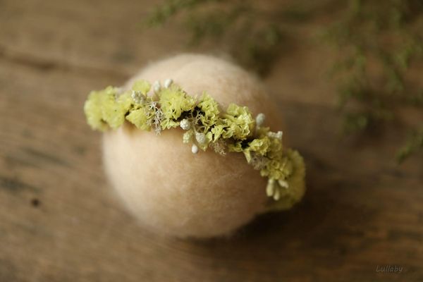 новорожденные фотография реквизит младенца головной убор цветок оголовье infant shoot аксессуары микрофонные креативный диапазона волос слад, Slivery;white
новорожденные фотография реквизит младенца головной убор цветок оголовье infant shoot аксессуары микрофонные креативный диапазона волос слад, Slivery;white