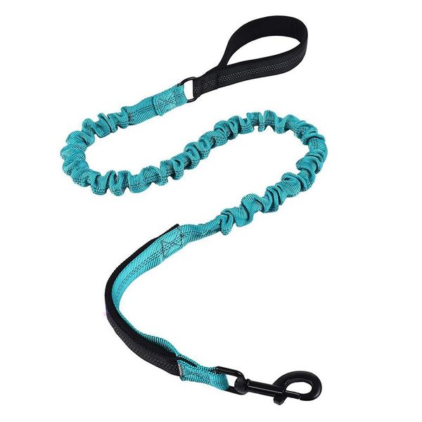 dog collars & leashes double handle long short large leash pet lead reflective walking traction rope padded 2 big elastic buffer
dog collars & leashes double handle long short large leash pet lead reflective walking traction rope padded 2 big elastic buffer