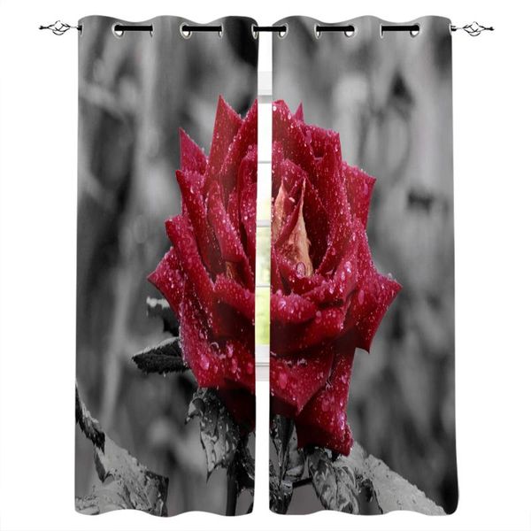 red rose flower waterdrop leaf gray plant curtains for living room window curtain for bedroom modern interior home decoration
red rose flower waterdrop leaf gray plant curtains for living room window curtain for bedroom modern interior home decoration