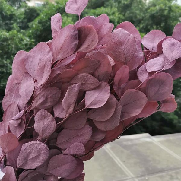 50g/20-35cm,natural preserved eucalyptus leaves bouquet,eternal display arrange flowers for wedding home decoration accessories q1215
50g/20-35cm,natural preserved eucalyptus leaves bouquet,eternal display arrange flowers for wedding home decoration accessories q1215