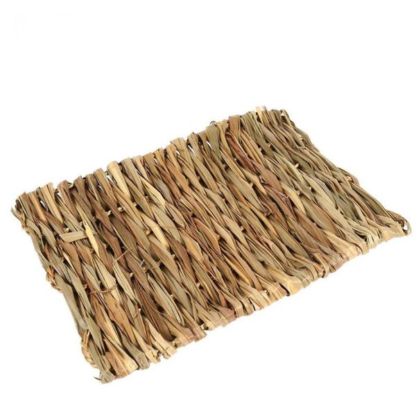 carpets 2pcs pet mat grass mats safe edible cages chew toys for pets size 40x28cm
carpets 2pcs pet mat grass mats safe edible cages chew toys for pets size 40x28cm
