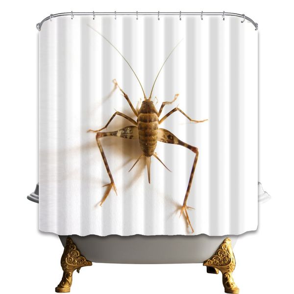 insect shower curtain cute animal bathroom decor waterproof polyester fabric home bath accessories curtains sets 70 x 70 inch with hooks
insect shower curtain cute animal bathroom decor waterproof polyester fabric home bath accessories curtains sets 70 x 70 inch with hooks