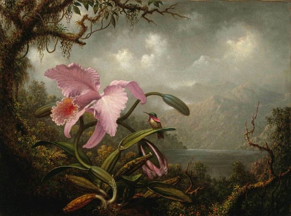 martin johnson heade orchid and hummingbird home decoration oil painting on canvas wall art canvas pictures for wall decor 201023
martin johnson heade orchid and hummingbird home decoration oil painting on canvas wall art canvas pictures for wall decor 201023