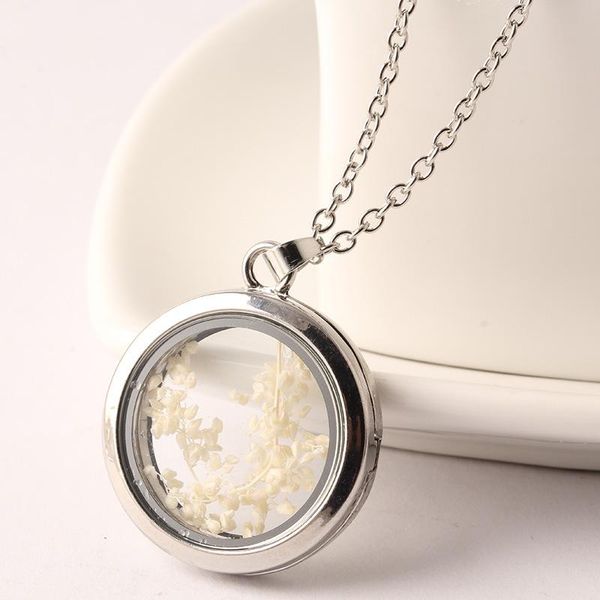 locket necklaces for women fashion heart shape floating locket dried flower plant pendant chain necklace, Silver
locket necklaces for women fashion heart shape floating locket dried flower plant pendant chain necklace, Silver