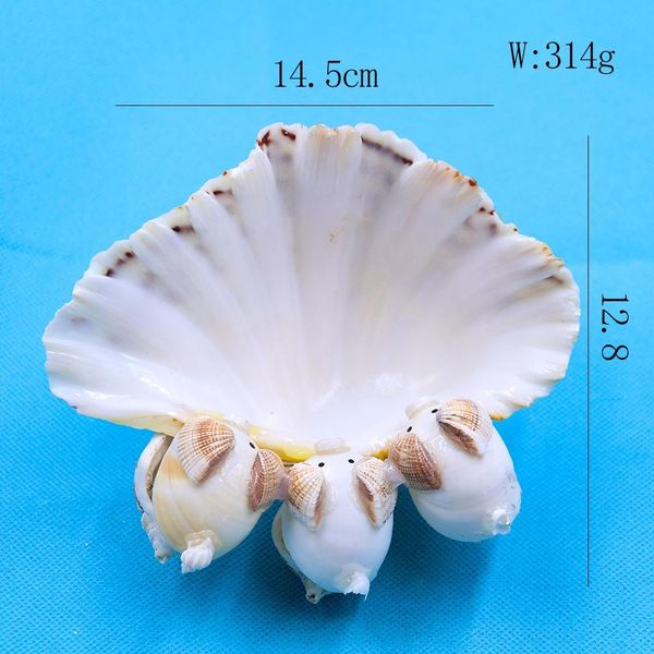 natural scallop seashell clam crafts soap holder beach wedding decorations aquarium landscape decor shells for jewelry making h bbyvmd
natural scallop seashell clam crafts soap holder beach wedding decorations aquarium landscape decor shells for jewelry making h bbyvmd