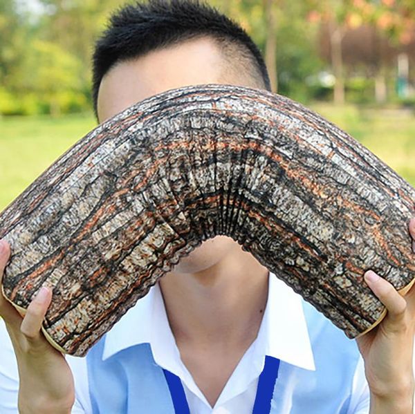 design natural wood log throw pillow back soft cushion car neck home sleeping 3d plush pillow cushion gift soft stuffed #6
design natural wood log throw pillow back soft cushion car neck home sleeping 3d plush pillow cushion gift soft stuffed #6