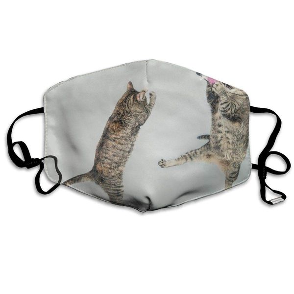 print mouth mask - cute cat play games polyester anti-dust mouth-muffle - fashion washed reusable face masks for outdoor cycling
print mouth mask - cute cat play games polyester anti-dust mouth-muffle - fashion washed reusable face masks for outdoor cycling