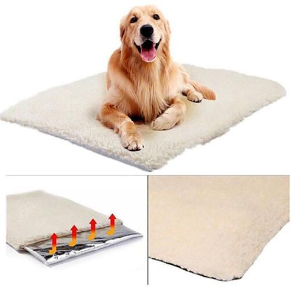 kennels & pens self heating dog cat blanket super soft puppy kitten warm sleep thermal no electric pet beds mat supplies
kennels & pens self heating dog cat blanket super soft puppy kitten warm sleep thermal no electric pet beds mat supplies