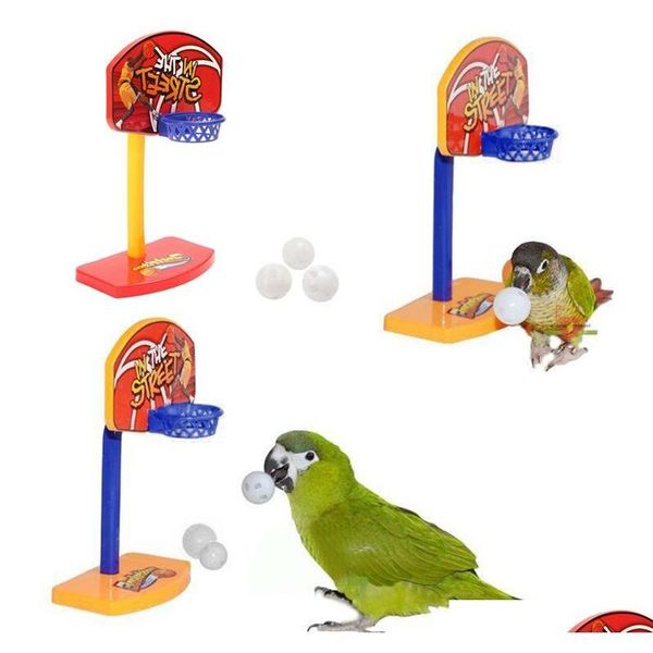 new 3pcs balls pet birds chew toy parakeet bell balls parrot toys birdie basketball hoop props pet parrot pet qylgxm toys2010
new 3pcs balls pet birds chew toy parakeet bell balls parrot toys birdie basketball hoop props pet parrot pet qylgxm toys2010