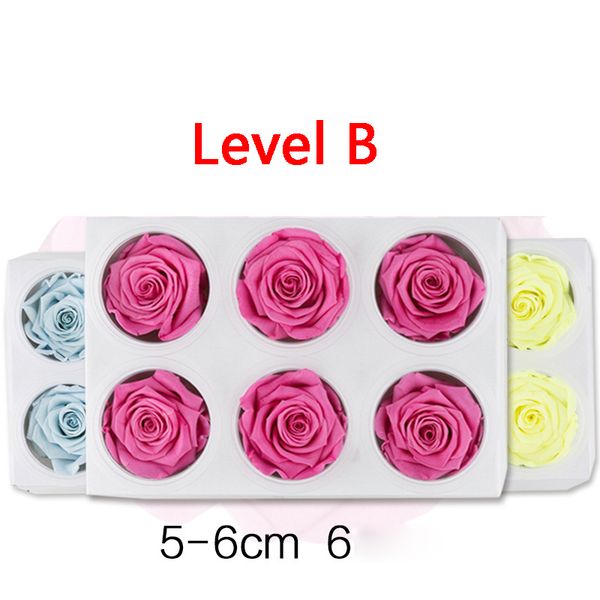 preserved flowers immortal rose 5-6cm diameter mothers day diy wedding eternal life flower material gift 6pcs/box level b q1126
preserved flowers immortal rose 5-6cm diameter mothers day diy wedding eternal life flower material gift 6pcs/box level b q1126