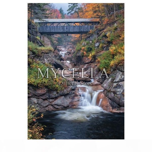 autumn scenery 5d diy diamond painting cross stitch covered bridge jungle diamond embroidery full mosaic home decor christmas
autumn scenery 5d diy diamond painting cross stitch covered bridge jungle diamond embroidery full mosaic home decor christmas