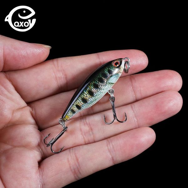 qxo прикормы тонущих 4.8cm 3.5g metal холодец winter поппер noeby товары для рыбалки hard sea джеркового ложка jlludb light2010
qxo прикормы тонущих 4.8cm 3.5g metal холодец winter поппер noeby товары для рыбалки hard sea джеркового ложка jlludb light2010