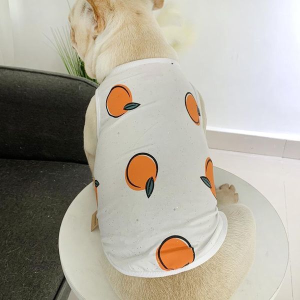 dog apparel cute oranges pet cat summer shirt vest pajamas clothes for dachshund schnauzer small puppy jacket coat costume1
dog apparel cute oranges pet cat summer shirt vest pajamas clothes for dachshund schnauzer small puppy jacket coat costume1
