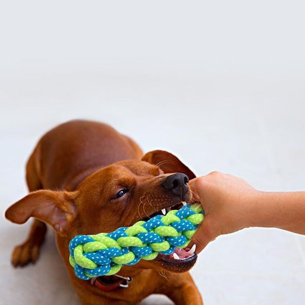 durable dog toys interactive cotton rope pet puppy dog toy chew ball squeaky bite resistant toys for small large dogs bbyaqu
durable dog toys interactive cotton rope pet puppy dog toy chew ball squeaky bite resistant toys for small large dogs bbyaqu