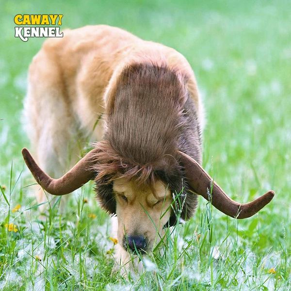 dog apparel cawaii kennel pet dogs headgear wig hat for accessories horn dress-up waste cattle funny cute caps d2116
dog apparel cawaii kennel pet dogs headgear wig hat for accessories horn dress-up waste cattle funny cute caps d2116