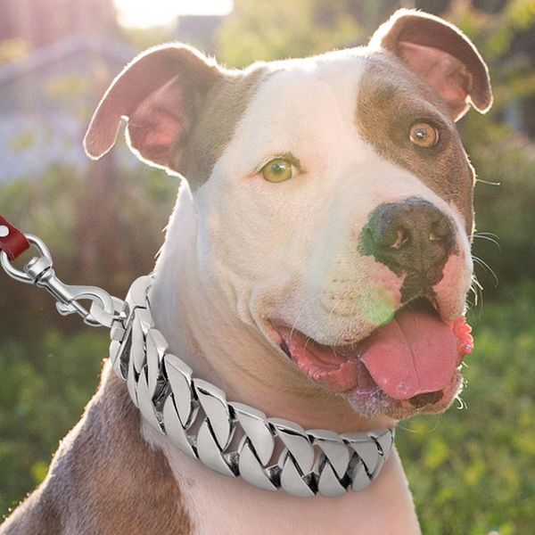 strong metal dog chain collars stainless steel pet training choke collar for large dogs pitbull bulldog silver gold sho sqcojy
strong metal dog chain collars stainless steel pet training choke collar for large dogs pitbull bulldog silver gold sho sqcojy
