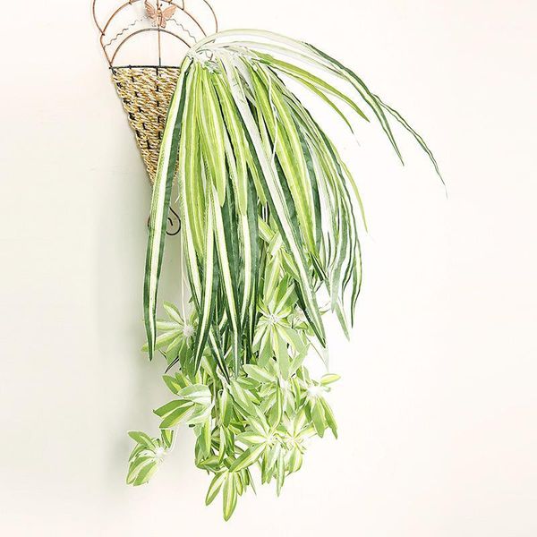 decorative flowers & wreaths 60cm artificial plants wall hanging chlorophytum potted green bracketplant fake simulation flower room decor1
decorative flowers & wreaths 60cm artificial plants wall hanging chlorophytum potted green bracketplant fake simulation flower room decor1