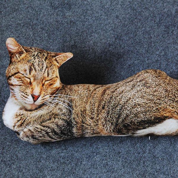 50см реалистичных плюшевых c подушка фаршированной 3d печать животные cat подушка домашнего украшения подарок для автомобиля люди wmtzsc inf
50см реалистичных плюшевых c подушка фаршированной 3d печать животные cat подушка домашнего украшения подарок для автомобиля люди wmtzsc inf