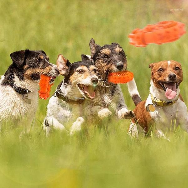 cat beds & furniture dog flying discs pet ring shape eva biting teeth clean floating chew toy puppy lightweight training supplies 2021 1
cat beds & furniture dog flying discs pet ring shape eva biting teeth clean floating chew toy puppy lightweight training supplies 2021 1