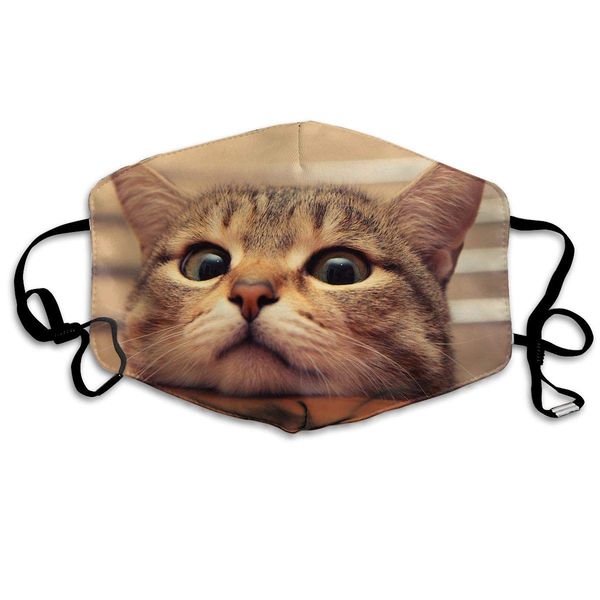 print mouth mask - cute cat on desk polyester anti-dust mouth-muffle - fashion washed reusable face masks for outdoor cycling
print mouth mask - cute cat on desk polyester anti-dust mouth-muffle - fashion washed reusable face masks for outdoor cycling