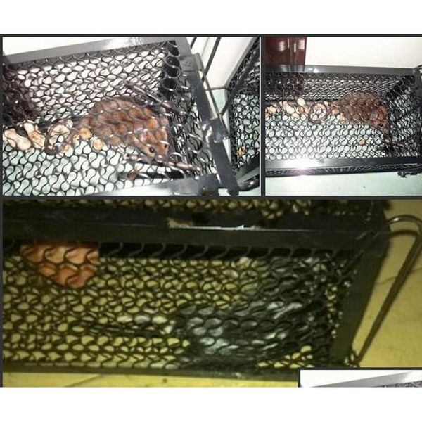 funny rodent animal mouse humane live trap hamster cage mice rat control catch bait pe qylagc sweet07
funny rodent animal mouse humane live trap hamster cage mice rat control catch bait pe qylagc sweet07