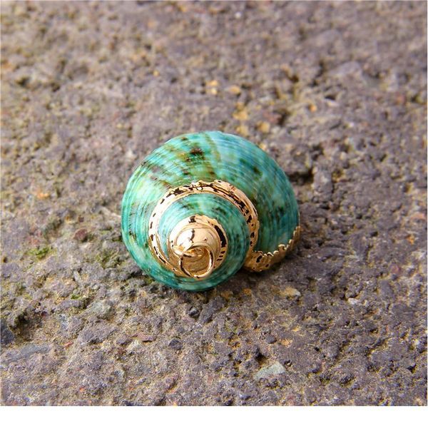 26*16-33*22 mm 5 pcs natural spiral shell charm pendants conch at random gold for jewelry making diy necklace bracelet jllmzk, Black
26*16-33*22 mm 5 pcs natural spiral shell charm pendants conch at random gold for jewelry making diy necklace bracelet jllmzk, Black