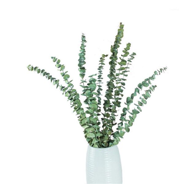 5 stems handmade dried real eucalyptus hanging shower bouquet plants natural no preservatives no perfume vase1
5 stems handmade dried real eucalyptus hanging shower bouquet plants natural no preservatives no perfume vase1