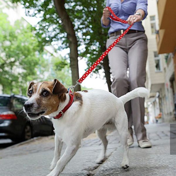 pet walking dog leash lead for small medium dogs cats polka dot puppy training running leashes leads outdoor rope b sqcyvq
pet walking dog leash lead for small medium dogs cats polka dot puppy training running leashes leads outdoor rope b sqcyvq