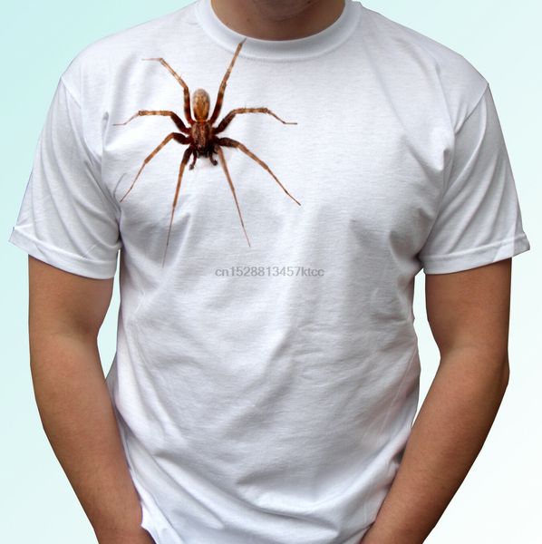spider white insect animal halloween tee s s kids baby sizes fashionable brand 618 printed round ne sport sweatshirt hoodie t shirt
spider white insect animal halloween tee s s kids baby sizes fashionable brand 618 printed round ne sport sweatshirt hoodie t shirt